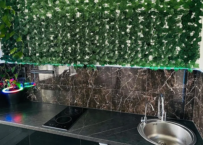 Black At Blossom Hill *